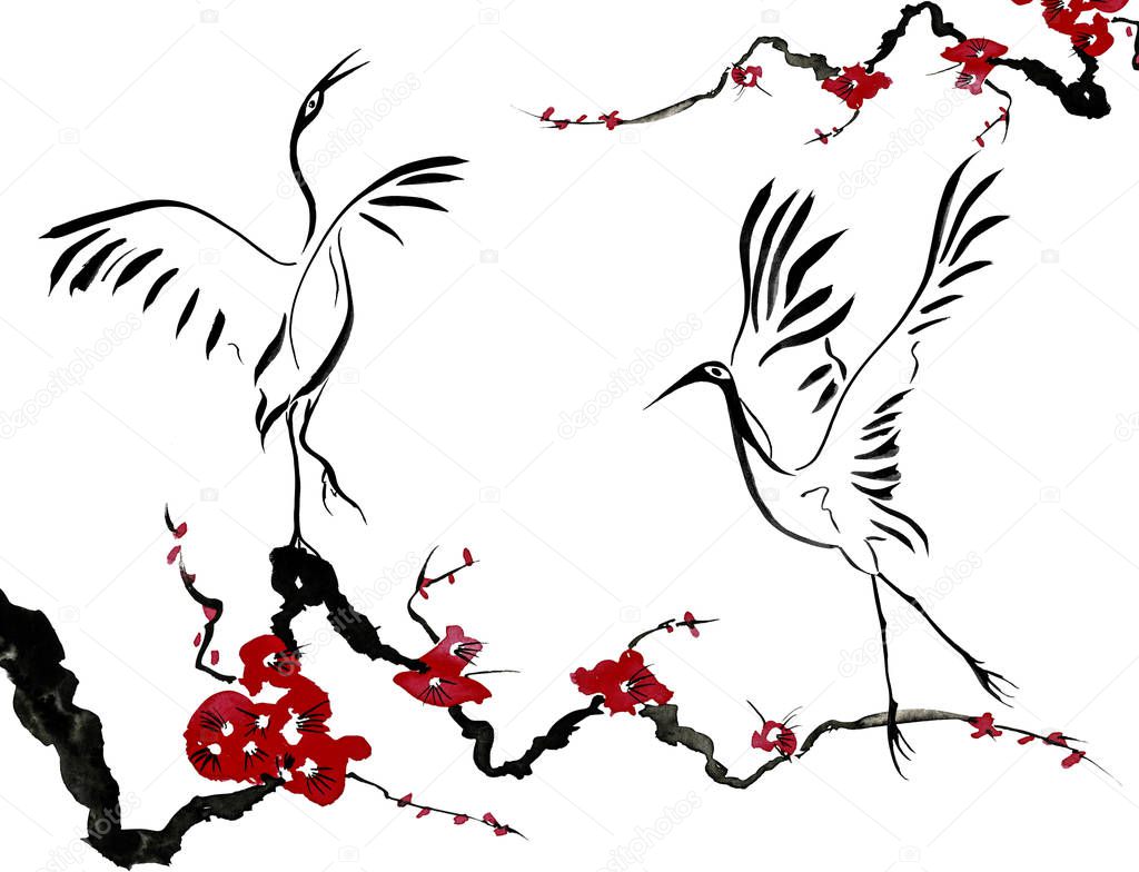 Japanese cranes bird drawing .  Red stylized flowers of plum mei, wild apricots and sakura . Watercolor and ink illustration in style sumi-e, u-sin, go-hua Oriental traditional painting. Isolated 