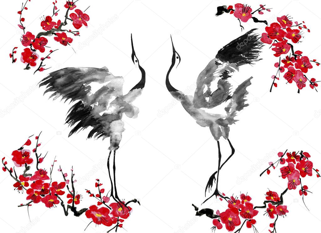 Two enamored japanese cranes bird.  Red stylized flowers of plum mei, wild apricots and sakura . Watercolor and ink illustration in style sumi-e, u-sin, go-hua Oriental traditional painting. Isolated .