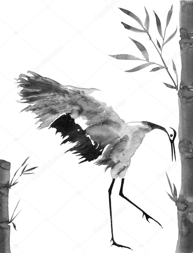 Japanese crane bird drawing.  Watercolor and ink illustration in style sumi-e, u-sin, go-hua Oriental traditional painting. Isolated .
