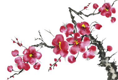 Şu yeni gelişen bir ağaç dalı. Pembe ve kırmızı erik çiçekleri stilize mei, yabani kayısı ve sakura. Suluboya ve mürekkep çizim stili sumi-e, u-sin. Oryantal geleneksel resim.  