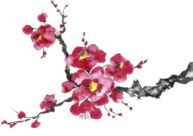 Şu yeni gelişen bir ağaç dalı. Pembe ve kırmızı erik çiçekleri stilize mei, yabani kayısı ve sakura. Suluboya ve mürekkep çizim stili sumi-e, u-sin. Oryantal geleneksel resim.  