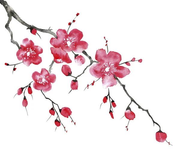 Branch Blossoming Tree Pink Red Stylized Flowers Plum Mei Wild — Stock Photo, Image