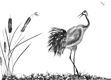 Japonca kuş çizim vinç. Suluboya ve mürekkep çizim stili sumi-e, u-sin, go-hua Oriental geleneksel resim. İzole .