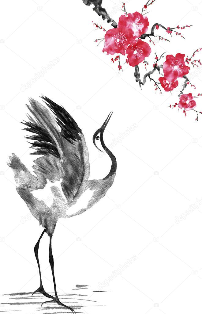 Japanese cranes bird drawing .  Red stylized flowers of plum mei, wild apricots and sakura . Watercolor and ink illustration in style sumi-e, u-sin, go-hua Oriental traditional painting. Isolated 