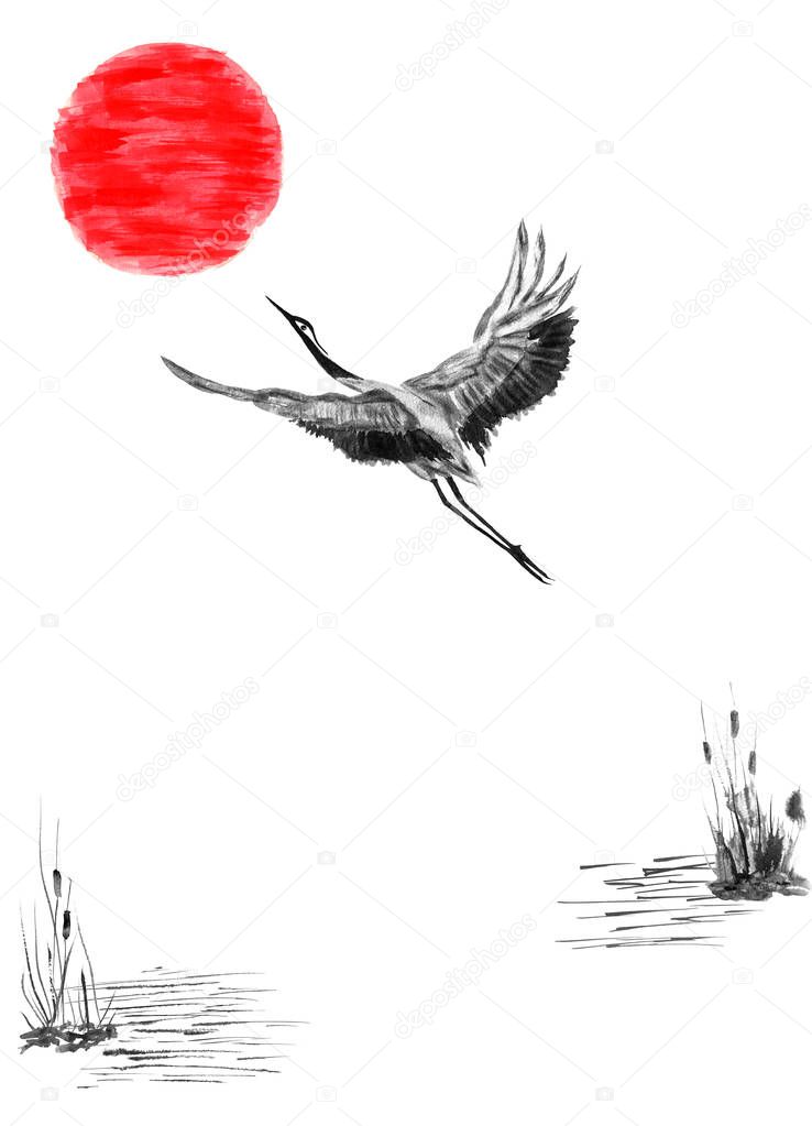 Japanese crane bird drawing and red sun.  Watercolor and ink illustration in style sumi-e, u-sin, go-hua Oriental traditional painting. Isolated .
