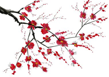 Şu yeni gelişen bir ağaç dalı. Pembe ve kırmızı erik çiçekleri stilize mei, yabani kayısı ve sakura. Suluboya ve mürekkep çizim stili sumi-e, u-sin. Oryantal geleneksel resim.  