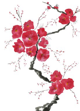 Şu yeni gelişen bir ağaç dalı. Pembe ve kırmızı erik çiçekleri stilize mei, yabani kayısı ve sakura. Suluboya ve mürekkep çizim stili sumi-e, u-sin. Oryantal geleneksel resim.  