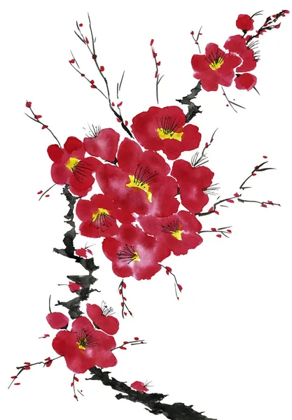 Branch Blossoming Tree Pink Red Stylized Flowers Plum Mei Wild — Stock Photo, Image