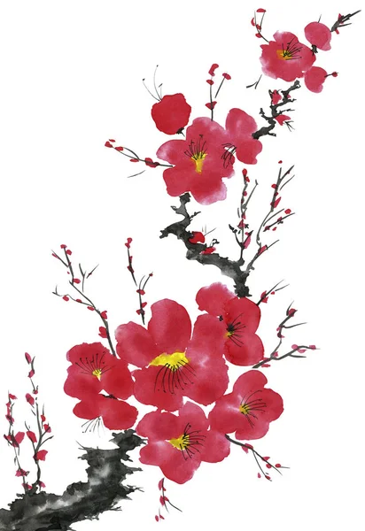 Ветка Цветущего Дерева Розовые Красные Стилизованные Цветы Сливы Диких Абрикосов — стоковое фото
