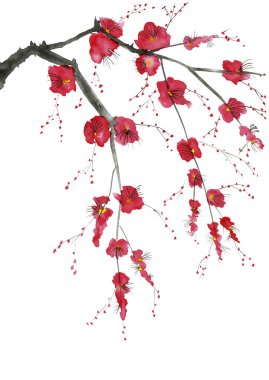Şu yeni gelişen bir ağaç dalı. Pembe ve kırmızı erik çiçekleri stilize mei, yabani kayısı ve sakura. Suluboya ve mürekkep çizim stili sumi-e, u-sin. Oryantal geleneksel resim.  