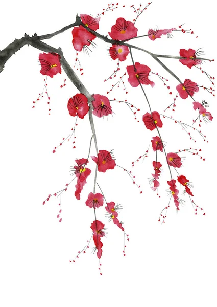 A branch of a blossoming tree. Pink and red stylized flowers of plum mei, wild apricots and sakura . Watercolor and ink illustration in style sumi-e, u-sin. Oriental traditional painting.