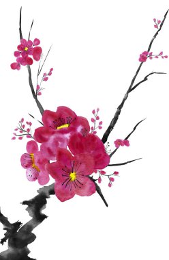 Şu yeni gelişen bir ağaç dalı. Pembe ve kırmızı erik çiçekleri stilize mei, yabani kayısı ve sakura. Suluboya ve mürekkep çizim stili sumi-e, u-sin. Oryantal geleneksel resim.  