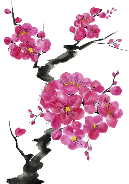 Branch Blossoming Tree Pink Red Stylized Flowers Plum Mei Wild — Stock Photo, Image