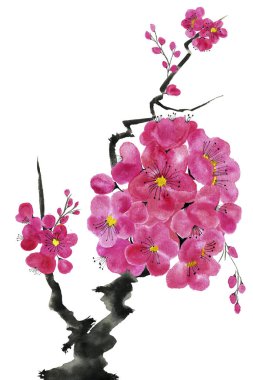 Şu yeni gelişen bir ağaç dalı. Pembe ve kırmızı erik çiçekleri stilize mei, yabani kayısı ve sakura. Suluboya ve mürekkep çizim stili sumi-e, u-sin. Oryantal geleneksel resim.  