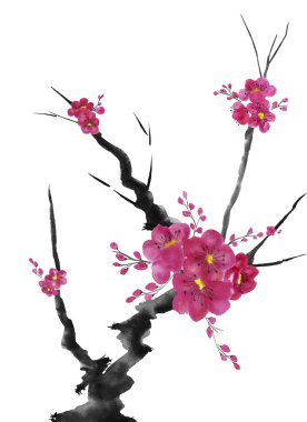 Şu yeni gelişen bir ağaç dalı. Pembe ve kırmızı erik çiçekleri stilize mei, yabani kayısı ve sakura. Suluboya ve mürekkep çizim stili sumi-e, u-sin. Oryantal geleneksel resim.  