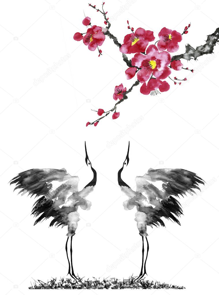 Japanese cranes bird drawing .  Red stylized flowers of plum mei, wild apricots and sakura . Watercolor and ink illustration in style sumi-e, u-sin, go-hua Oriental traditional painting. Isolated .