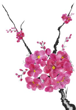 Şu yeni gelişen bir ağaç dalı. Pembe ve kırmızı erik çiçekleri stilize mei, yabani kayısı ve sakura. Suluboya ve mürekkep çizim stili sumi-e, u-sin. Oryantal geleneksel resim.  
