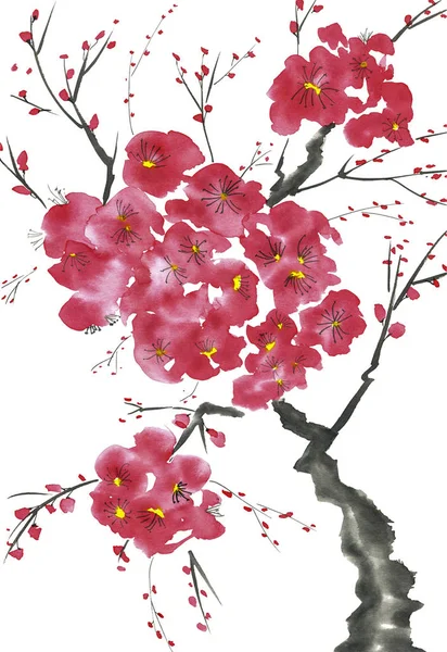 Une Branche Arbre Fleurs Fleurs Roses Rouges Stylisées Prune Mei — Photo