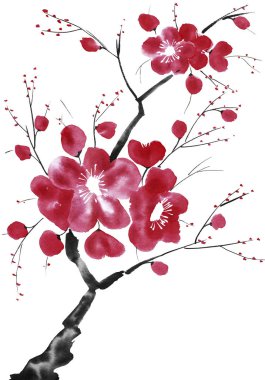 Şu yeni gelişen bir ağaç dalı. Pembe ve kırmızı erik çiçekleri stilize mei, yabani kayısı ve sakura. Suluboya ve mürekkep çizim stili sumi-e, u-sin. Oryantal geleneksel resim.  