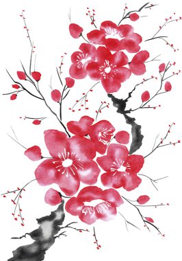 Şu yeni gelişen bir ağaç dalı. Pembe ve kırmızı erik çiçekleri stilize mei, yabani kayısı ve sakura. Suluboya ve mürekkep çizim stili sumi-e, u-sin. Oryantal geleneksel resim.  