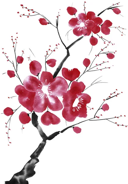 開花木の枝 ピンクと赤が梅の花を様式化された美 野生アプリコット さくら スタイル墨絵 インク イラスト 東洋の伝統的な絵画 — ストック写真