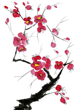 Şu yeni gelişen bir ağaç dalı. Pembe ve kırmızı erik çiçekleri stilize mei, yabani kayısı ve sakura. Suluboya ve mürekkep çizim stili sumi-e, u-sin. Oryantal geleneksel resim.  