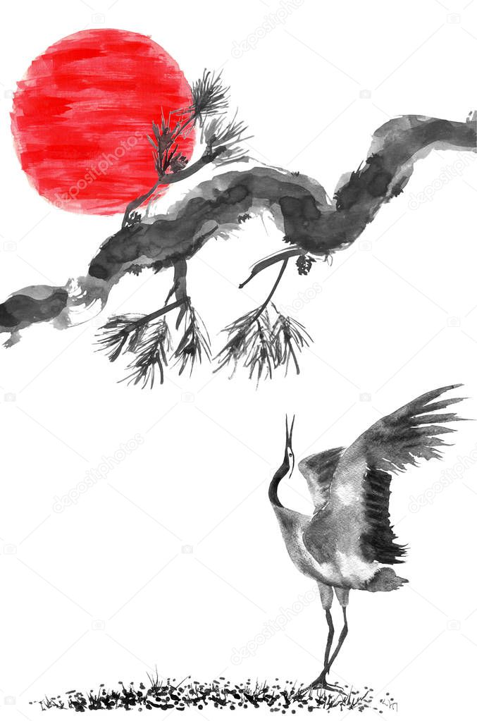 The red  sun and the branch of Chinese pine. Japanese cranes bird drawing .  Watercolor and ink illustration in style sumi-e, u-sin, go-hua Oriental traditional painting. Isolated .