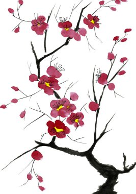 Şu yeni gelişen bir ağaç dalı. Pembe ve kırmızı erik çiçekleri stilize mei, yabani kayısı ve sakura. Suluboya ve mürekkep çizim stili sumi-e, u-sin. Oryantal geleneksel resim.  