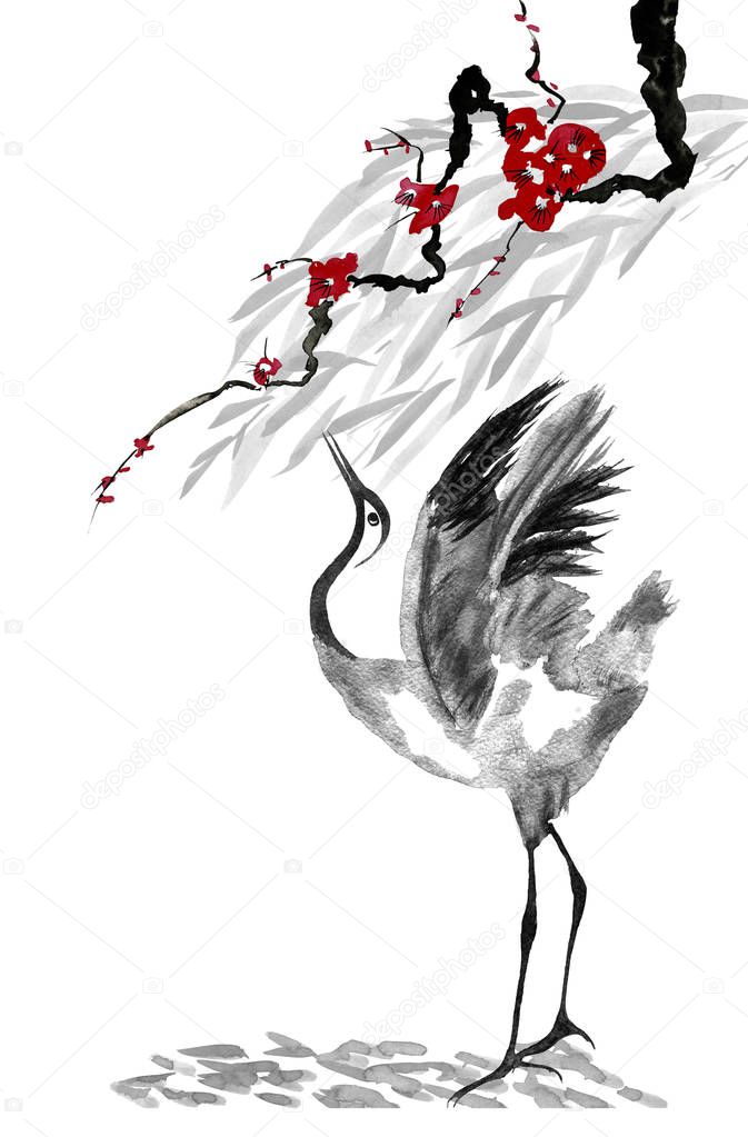 Japanese cranes bird drawing .  Red stylized flowers of plum mei, wild apricots and sakura . Watercolor and ink illustration in style sumi-e, u-sin, go-hua Oriental traditional painting. Isolated 