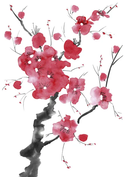 A branch of a blossoming tree. Pink and red stylized flowers of plum mei, wild apricots and sakura . Watercolor and ink illustration in style sumi-e, u-sin. Oriental traditional painting.