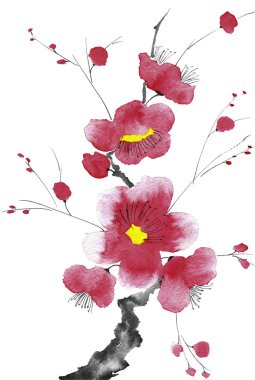 Şu yeni gelişen bir ağaç dalı. Pembe ve kırmızı erik çiçekleri stilize mei, yabani kayısı ve sakura. Suluboya ve mürekkep çizim stili sumi-e, u-sin. Oryantal geleneksel resim.  