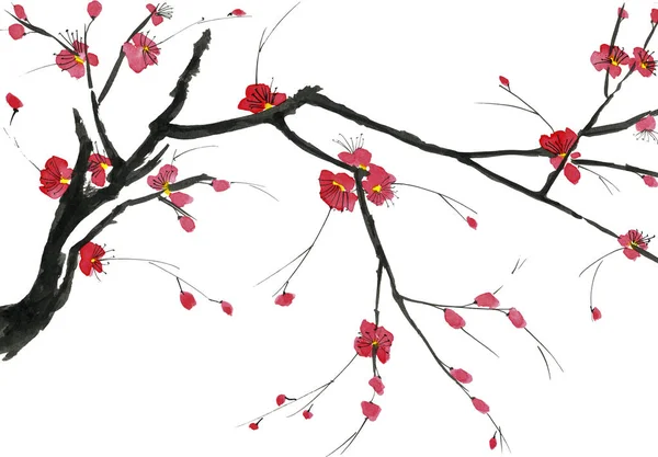 Şu yeni gelişen bir ağaç dalı. Pembe ve kırmızı erik çiçekleri stilize mei, yabani kayısı ve sakura. Suluboya ve mürekkep çizim stili sumi-e, u-sin. Oryantal geleneksel resim.  