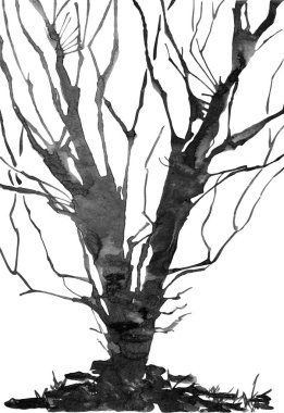 Soyut muhteşem vahşi garip ağaç. Suluboya resim. Beyaz arka plan üzerinde izole