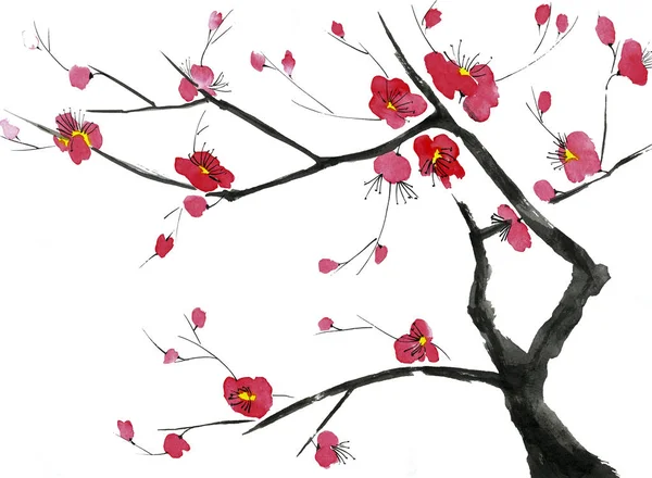 Une Branche Arbre Fleurs Fleurs Roses Rouges Stylisées Prune Mei — Photo