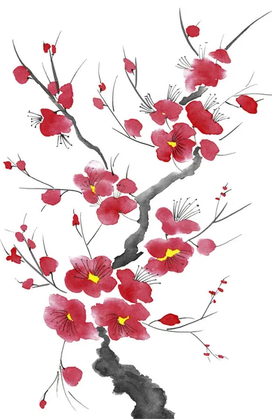 Branch Blossoming Tree Pink Red Stylized Flowers Plum Mei Wild — Stock Photo, Image