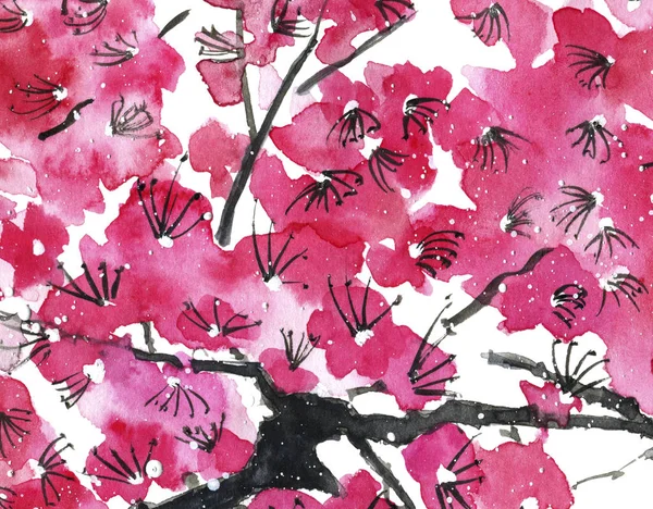 A branch of a blossoming tree. Pink and red stylized flowers of plum mei, wild apricots and sakura . Watercolor and ink illustration in style sumi-e, u-sin. Oriental traditional painting.