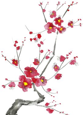 Şu yeni gelişen bir ağaç dalı. Pembe ve kırmızı erik çiçekleri stilize mei, yabani kayısı ve sakura. Suluboya ve mürekkep çizim stili sumi-e, u-sin. Oryantal geleneksel resim.  