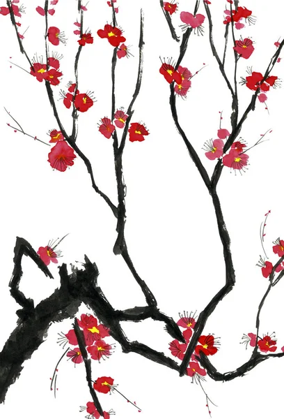 Pobočka Kvetoucí Strom Růžové Červené Stylizované Květy Švestky Mei Divoké — Stock fotografie