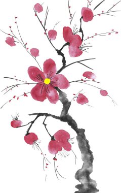 Şu yeni gelişen bir ağaç dalı. Pembe ve kırmızı erik çiçekleri stilize mei, yabani kayısı ve sakura. Suluboya ve mürekkep çizim stili sumi-e, u-sin. Oryantal geleneksel resim.  