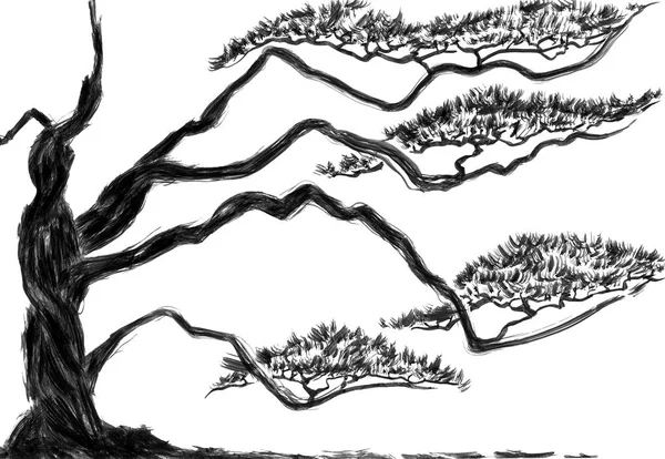 Китайський Сосни Акварель Чорнилом Ілюстрація Стилі Суми Сiн Східні Традиційного — стокове фото
