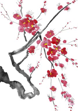 Şu yeni gelişen bir ağaç dalı. Pembe ve kırmızı erik çiçekleri stilize mei, yabani kayısı ve sakura. Suluboya ve mürekkep çizim stili sumi-e, u-sin. Oryantal geleneksel resim.  