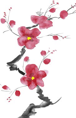Şu yeni gelişen bir ağaç dalı. Pembe ve kırmızı erik çiçekleri stilize mei, yabani kayısı ve sakura. Suluboya ve mürekkep çizim stili sumi-e, u-sin. Oryantal geleneksel resim.  