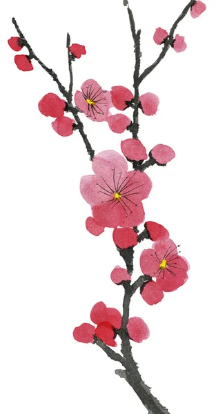 Branch Blossoming Tree Pink Red Stylized Flowers Plum Mei Wild — Stock Photo, Image