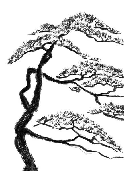 Chinese Pine Watercolor Ink Illustration Style Sumi Sin Oriental Traditional — Stock Photo, Image