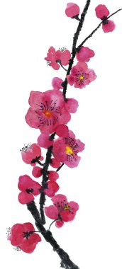 Şu yeni gelişen bir ağaç dalı. Pembe ve kırmızı erik çiçekleri stilize mei, yabani kayısı ve sakura. Suluboya ve mürekkep çizim stili sumi-e, u-sin. Oryantal geleneksel resim.  