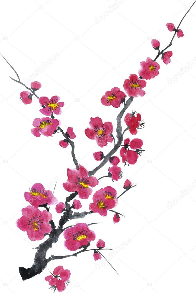 A branch of a blossoming tree. Pink and red stylized flowers of plum mei, wild apricots and sakura . Watercolor and ink illustration in style sumi-e, u-sin. Oriental traditional painting.  