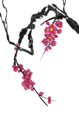 Şu yeni gelişen bir ağaç dalı. Pembe ve kırmızı erik çiçekleri stilize mei, yabani kayısı ve sakura. Suluboya ve mürekkep çizim stili sumi-e, u-sin. Oryantal geleneksel resim.  