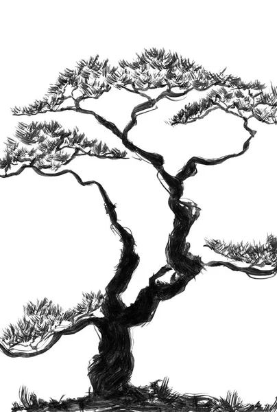 中国松 スタイル墨絵 インク イラスト 東洋の伝統的な絵画 白い背景に分離 — ストック写真