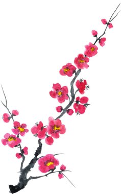 Şu yeni gelişen bir ağaç dalı. Pembe ve kırmızı erik çiçekleri stilize mei, yabani kayısı ve sakura. Suluboya ve mürekkep çizim stili sumi-e, u-sin. Oryantal geleneksel resim.  