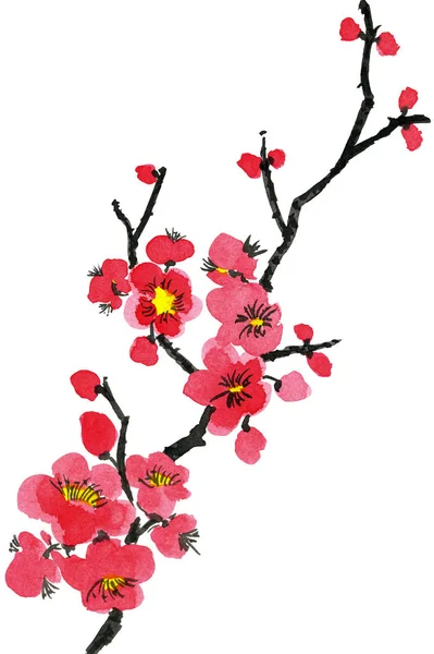 Branch Blossoming Tree Pink Red Stylized Flowers Plum Mei Wild — Stock Photo, Image